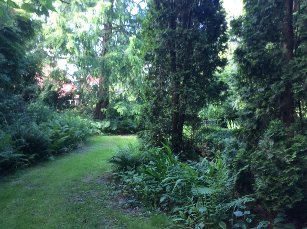 Villa Laurelin, Lothorien Noordwolde  Εξωτερικό φωτογραφία